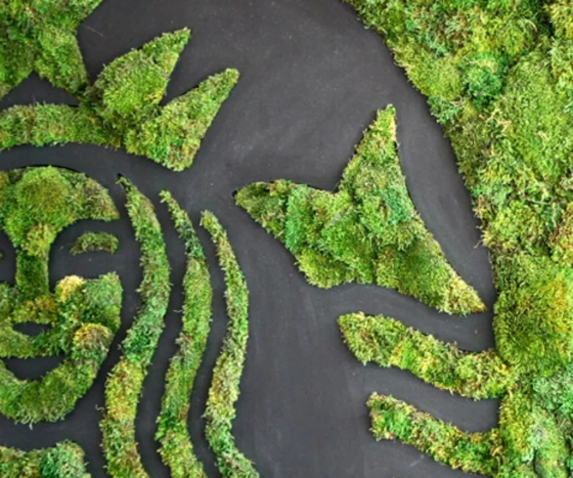 Green_forest