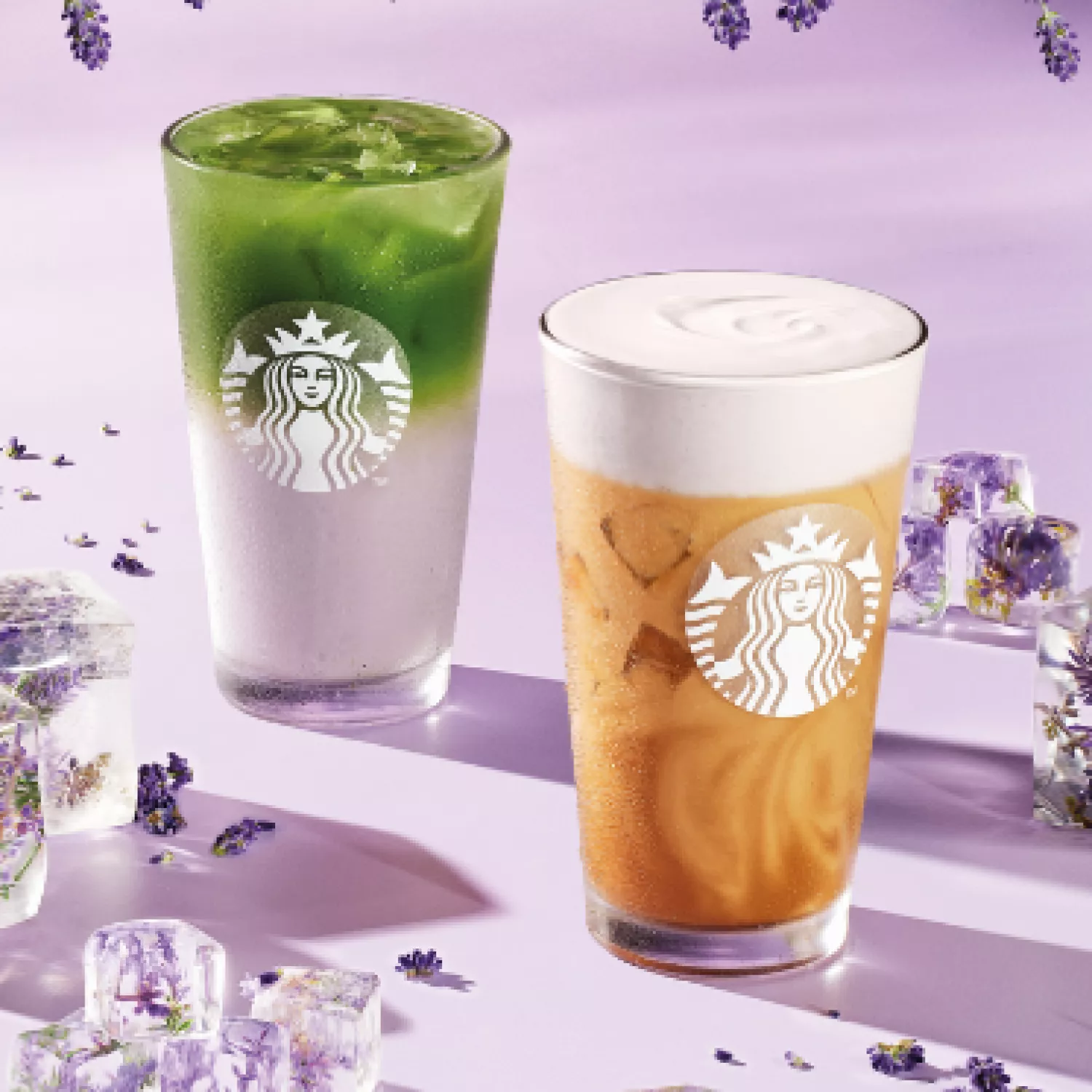 Die neuen Lavender-Flavour-Drinks sind da! 💜