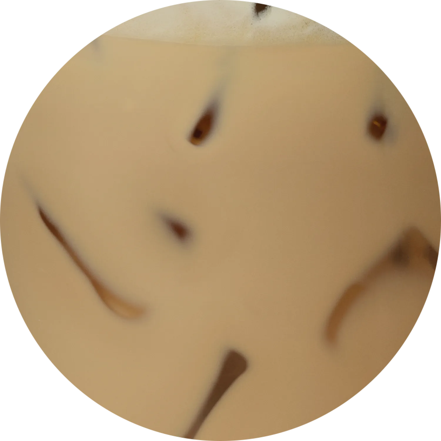 Iced Chai Cream Caramel Latte